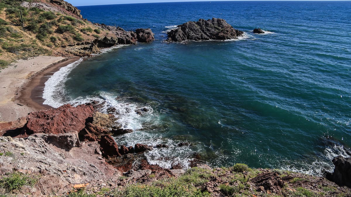 El Niño ya está cambiando la vida marina del Pacífico: Qué señales vigilan científicos en el Golfo de California
