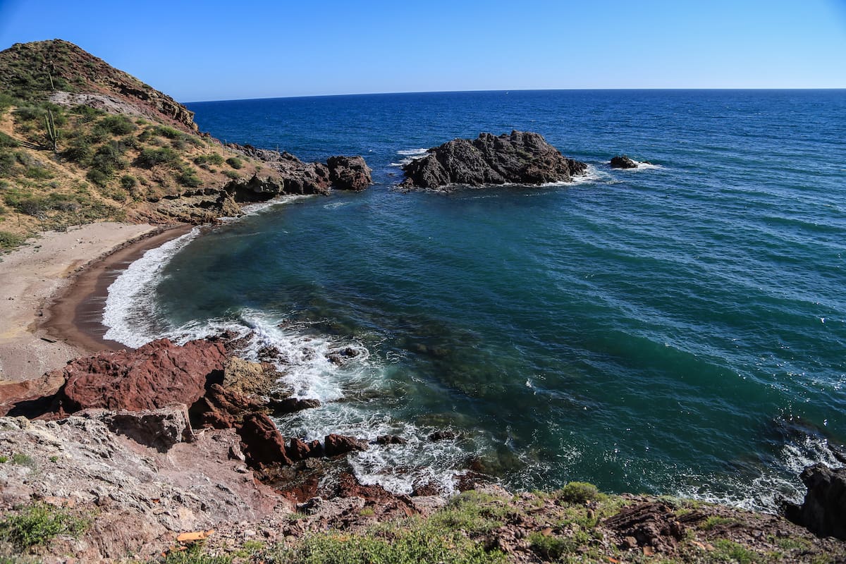 El Niño ya está cambiando la vida marina del Pacífico: Qué señales vigilan científicos en el Golfo de California
