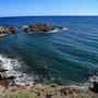 El Niño ya está cambiando la vida marina del Pacífico: Qué señales vigilan científicos en el Golfo de California