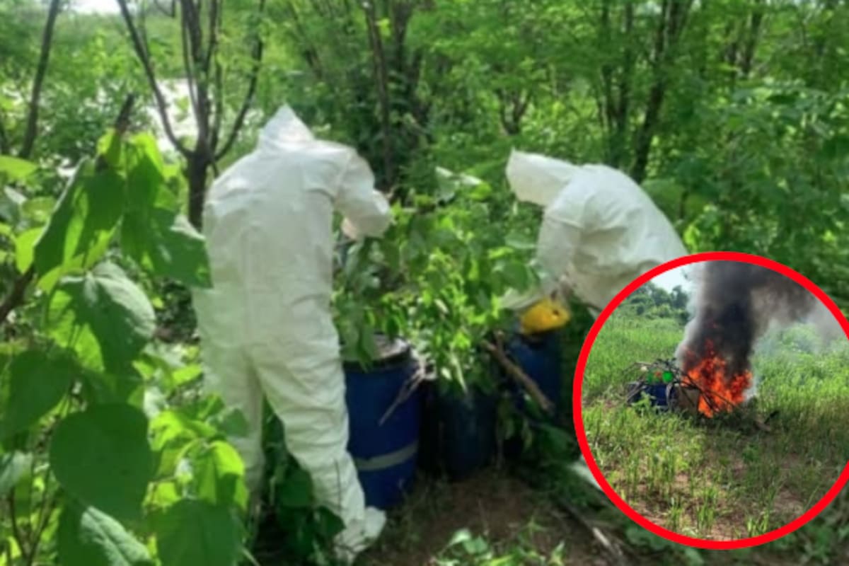 Hallan y destruyen laboratorio clandestino en Cosalá y cinco zonas de químicos en Culiacán: más de 9 toneladas de sosa cáustica y sustancias tóxicas