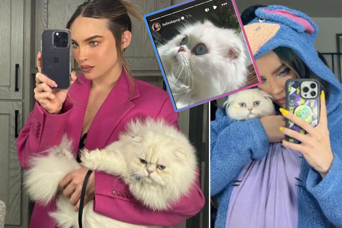 Belinda recupera a su gatito Glen y agradece el apoyo de sus fans
