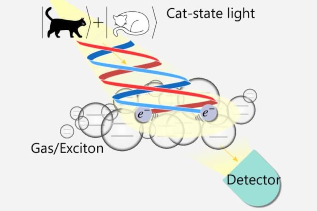 Esquema conceptual que muestra cómo la luz en estado de gato de Schrödinger transfiere su superposición cuántica a los electrones de un sólido. Fuente: arXiv