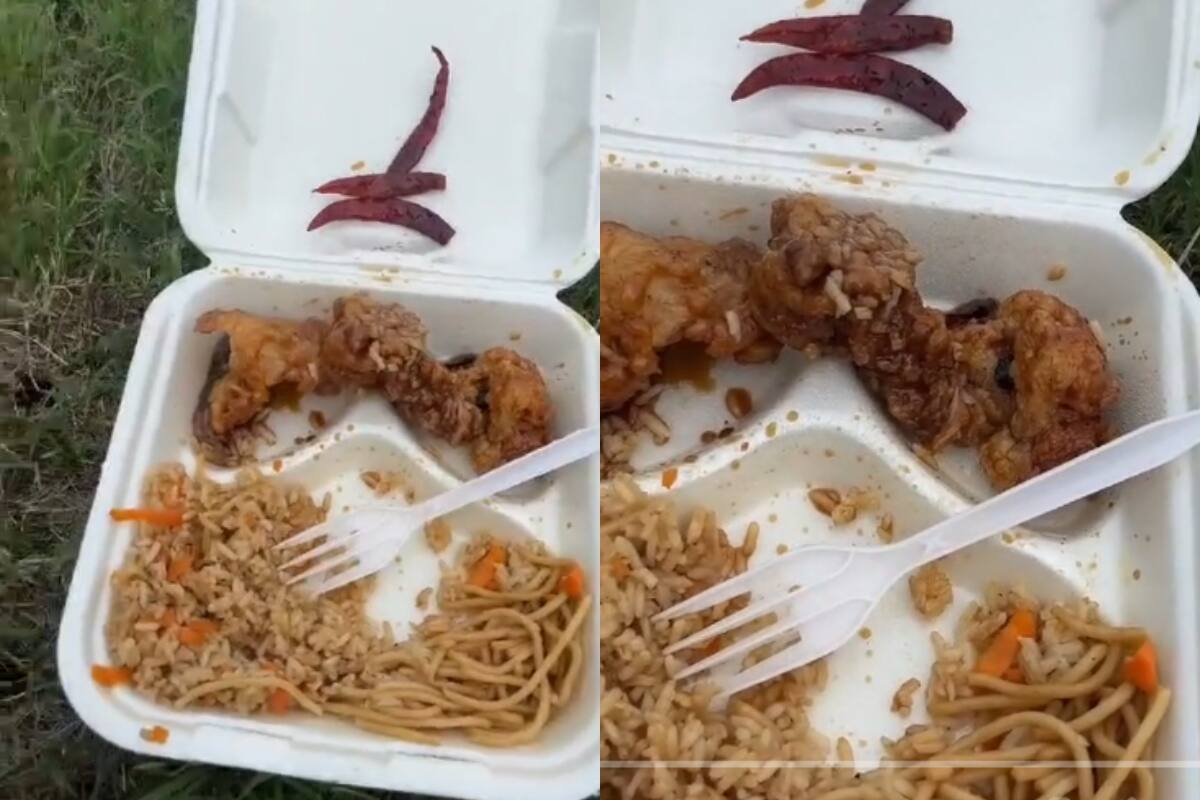 VIRAL: joven descubre que un pedazo de su pollo frito se movía SOLO