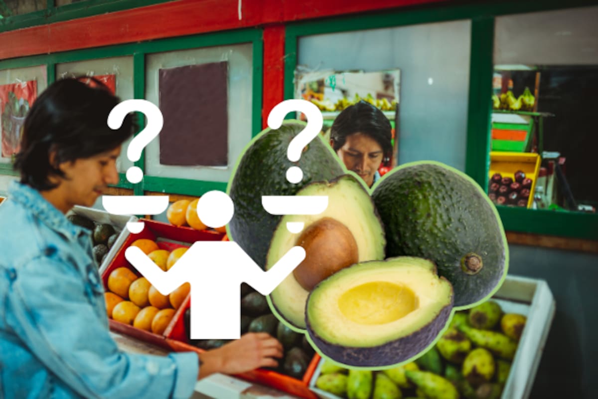¿A cuánto está el kilo de aguacate hoy? El mapa de precios en diversos estados en México