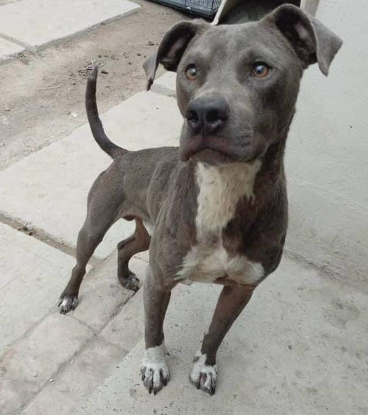 Foto: cortesía entrevistado