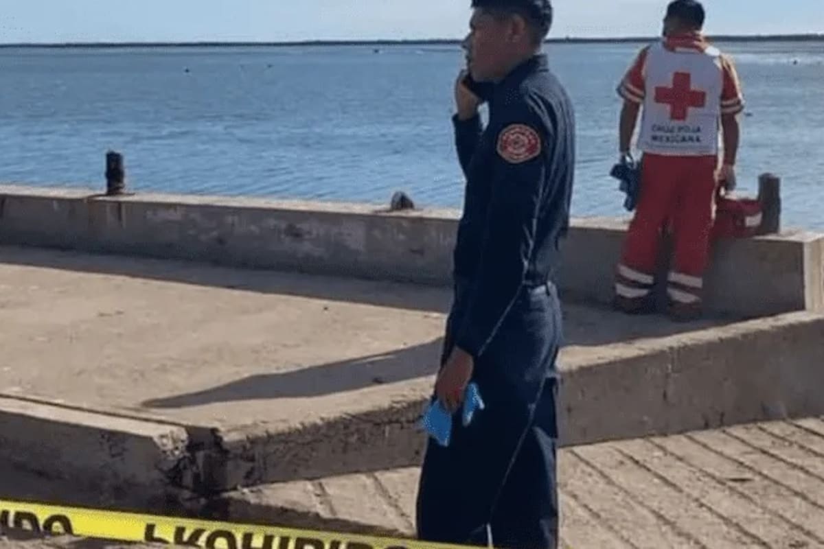 Pide PC tomar precauciones ante riesgo por tiburones