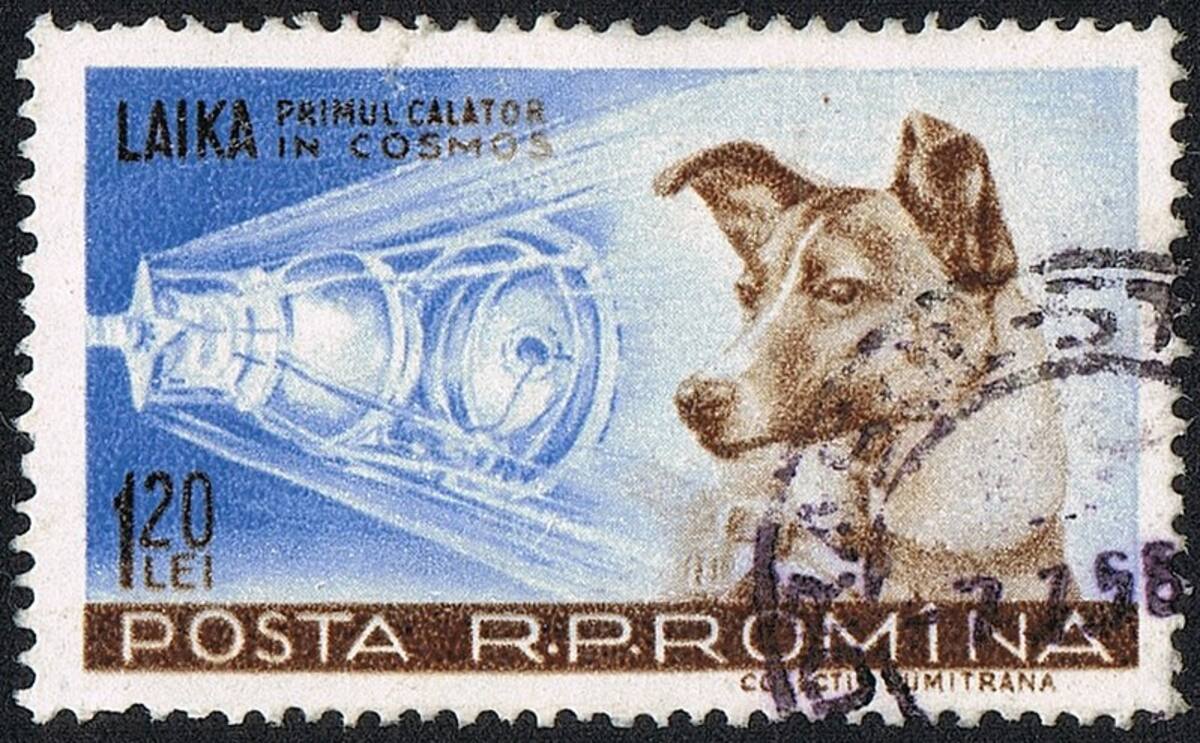 Laika inmortalizada en una estampilla postal rumana/Foto: Science Photo Gallery.