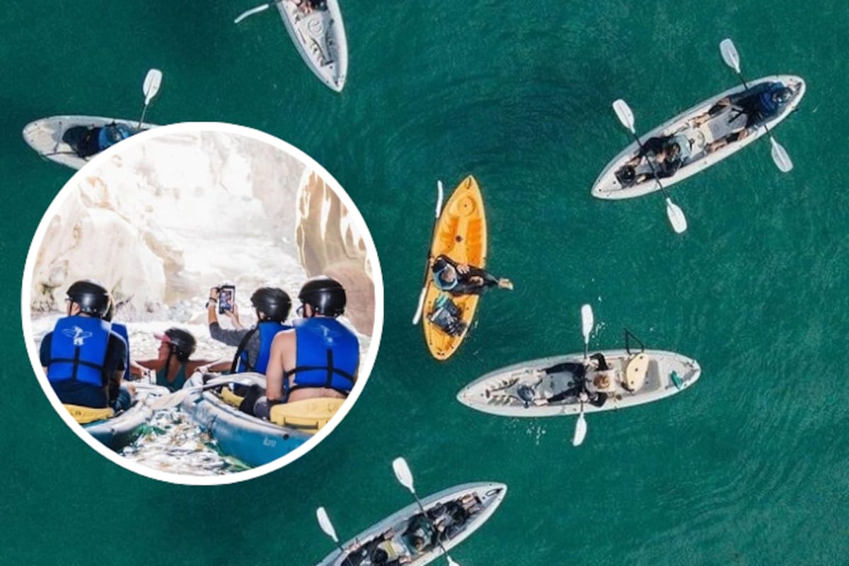 Navega las cuevas marinas de La Jolla en kayak