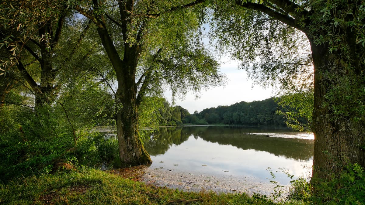 Tom Place ha realizado unas 60 horas de inmersiones desde 2020 para buscar el Rolex Submariner que perdió a más de 24 metros de profundidad en el lago Trout. Foto: Canva
