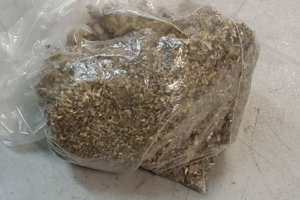 Pareja detenida con droga en la Progreso