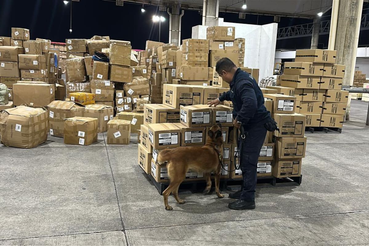 Aduanas de México asesta golpe al contrabando con embargo masivo de más de 10 millones de cajetillas de cigarros