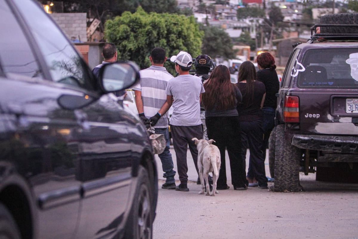 Foto: Border Zoom