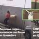 Mujer sorprende al pasear una llama por las calles de Querétaro y se vuelve viral