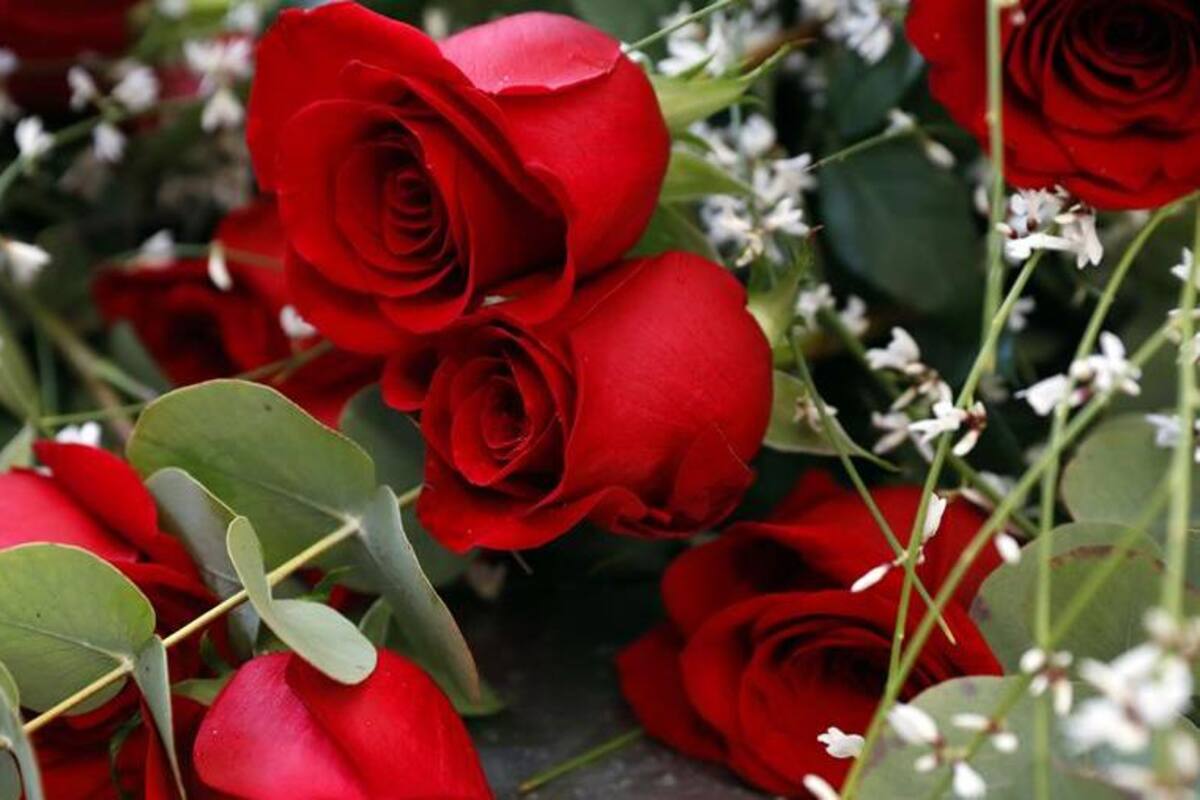 Día del Amor y la Amistad, por qué se celebra el 14 de febrero San Valentín y su sangriento origen pagano