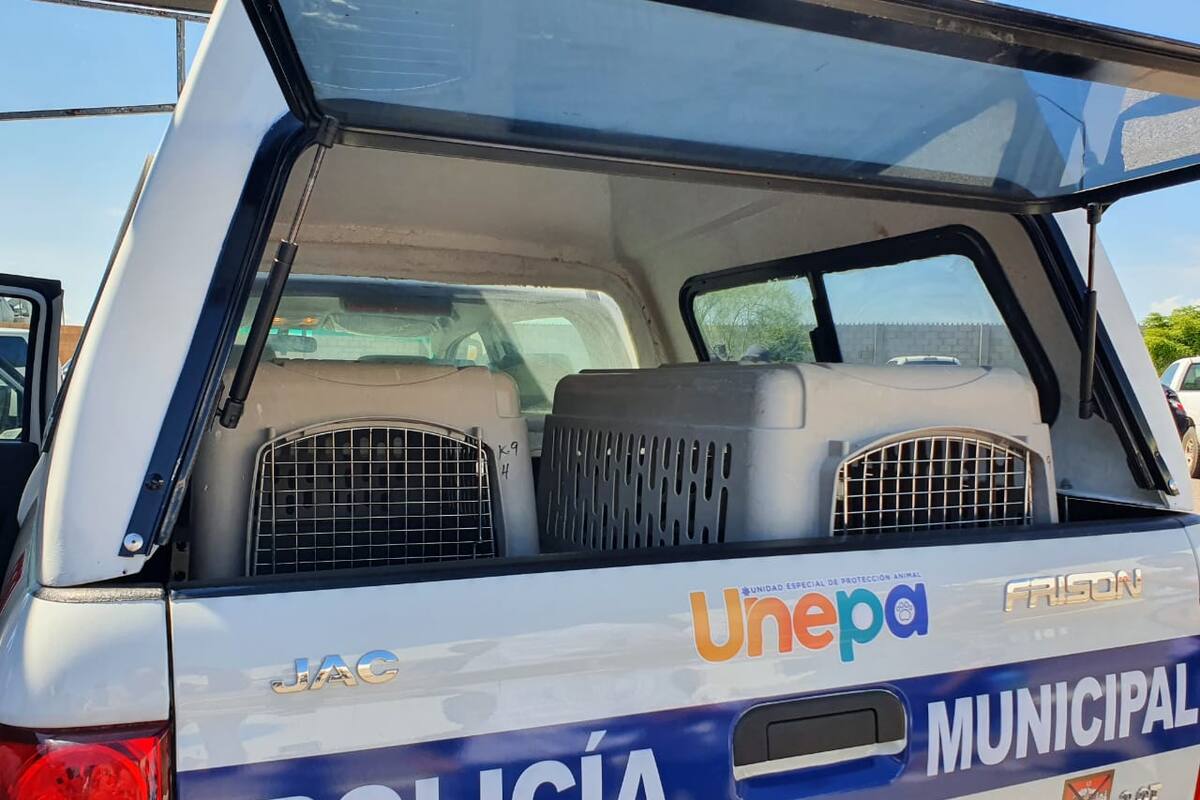 Capacitan a policías de Hermosillo para atender denuncias de maltrato animal