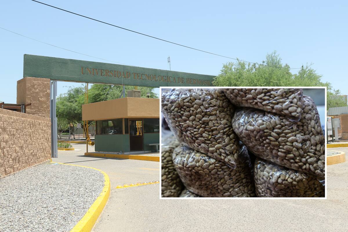 Estudiantes de la UTH dicen 1,2,3 contra el hambre