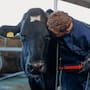 La genética impulsa nueva etapa ganadera