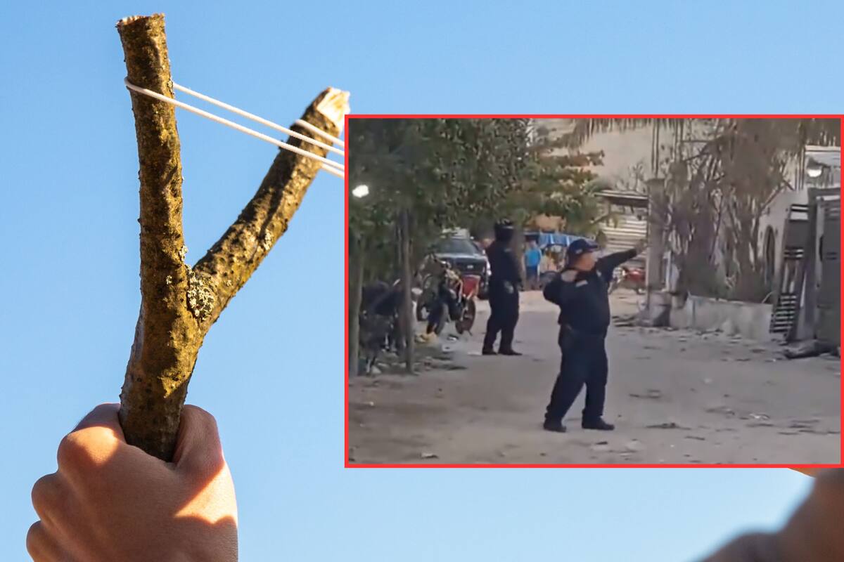 ¡Con resortera en mano! Policías de Yucatán capturan a ladrones en Celestún