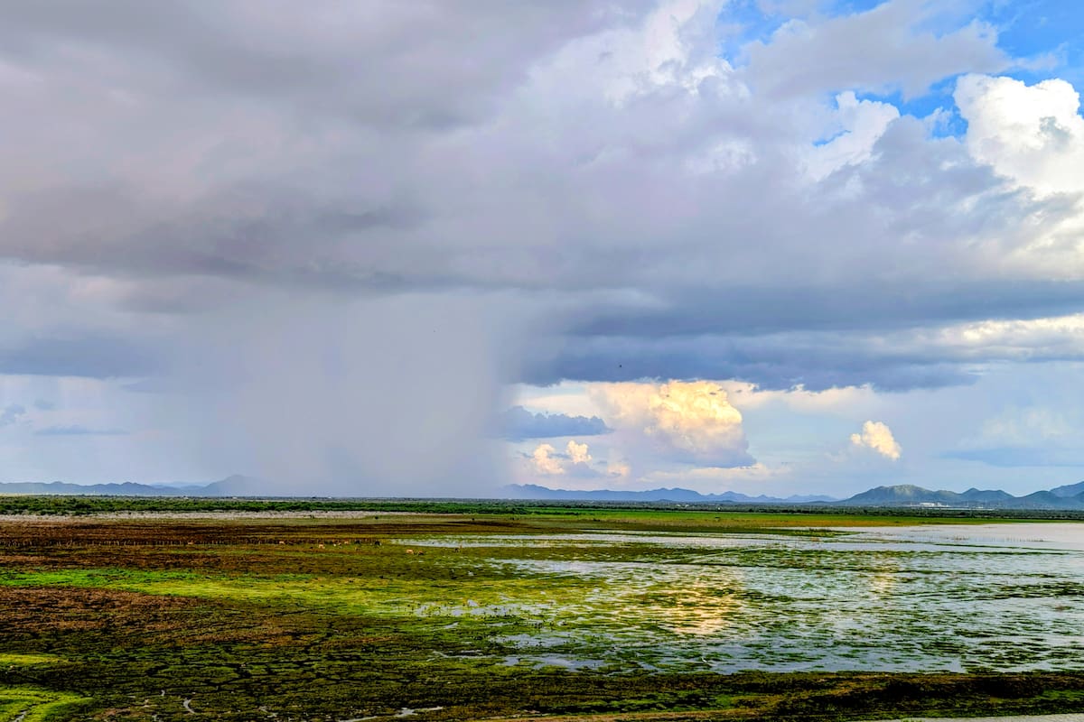 Monzón mexicano y onda tropical 28 provocarán lluvias intensas en siete estados esta semana