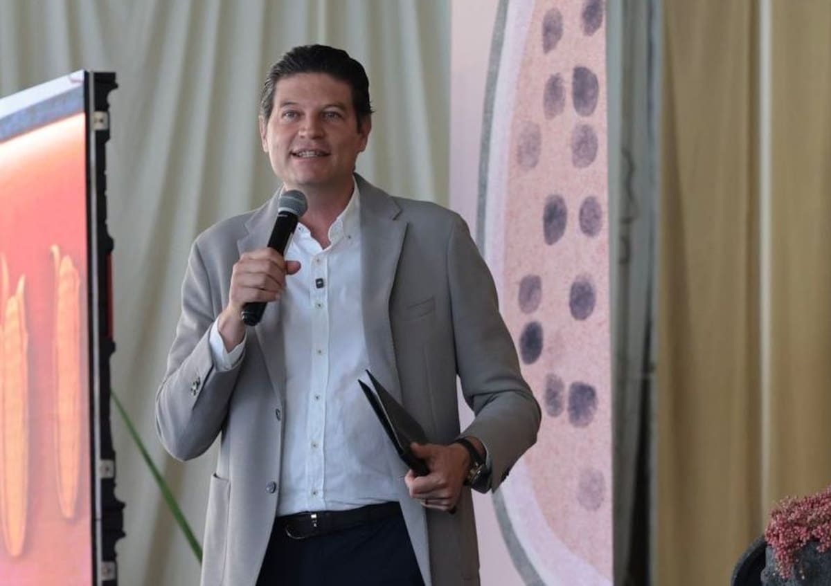 Foto: X/@AlfonsoMtz_Mx