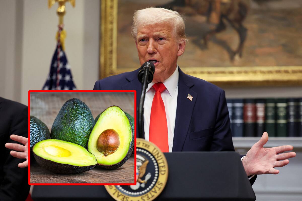 Conoce el impacto económico de los aranceles de Trump en las familias y los estados de EU