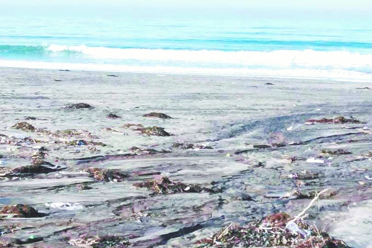 Tiene playas una suciedad que no se ve