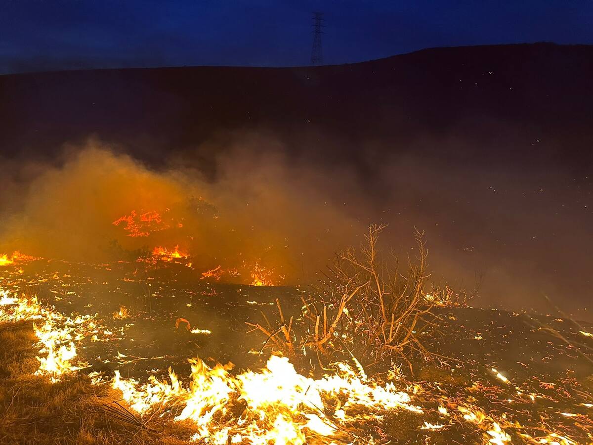 Por momentos las llamas se aproximaron a las zonas habitadas.