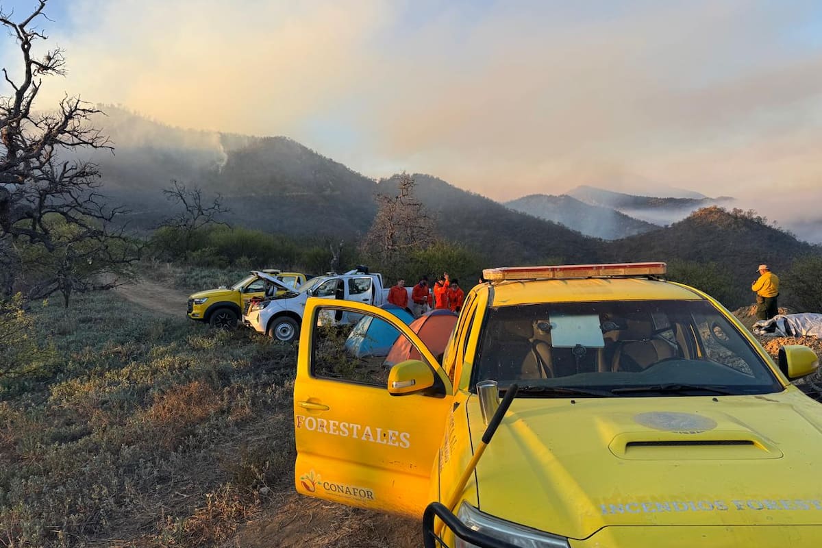 Suman 73 brigadistas que enfrentan el incendio forestal en Tarachi; la afectación supera las mil 200 hectáreas