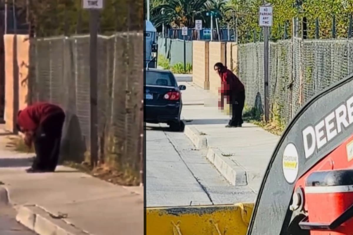 VIDEO: Captan a caníbal comiendo pierna humana a plena luz del día en California (IMÁGENES FUERTES)