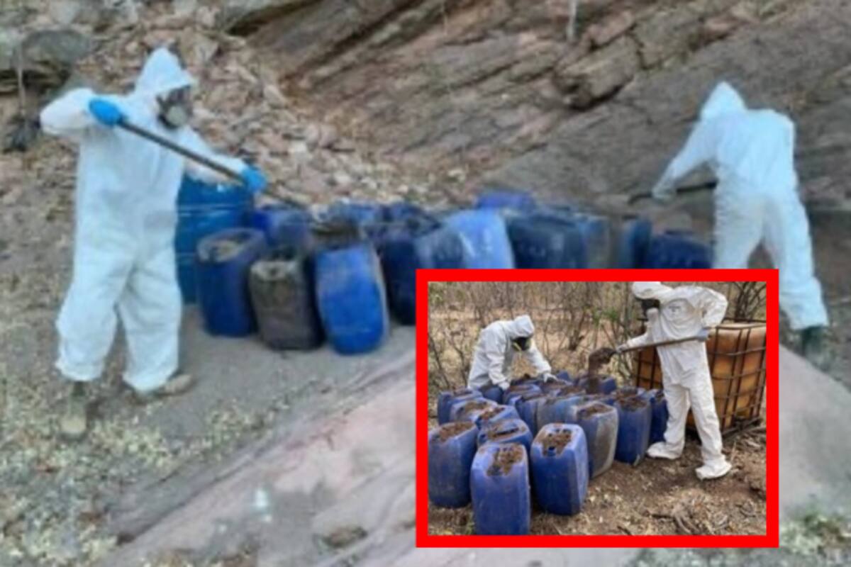 Desmantelan 11 laboratorios clandestinos en Culiacán y Cosalá