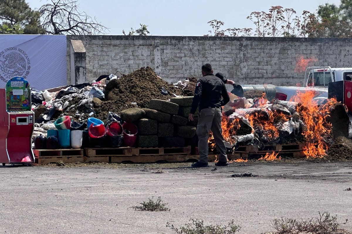 Autoridades destruyen tonelada y media de drogas incautadas en Jalisco
