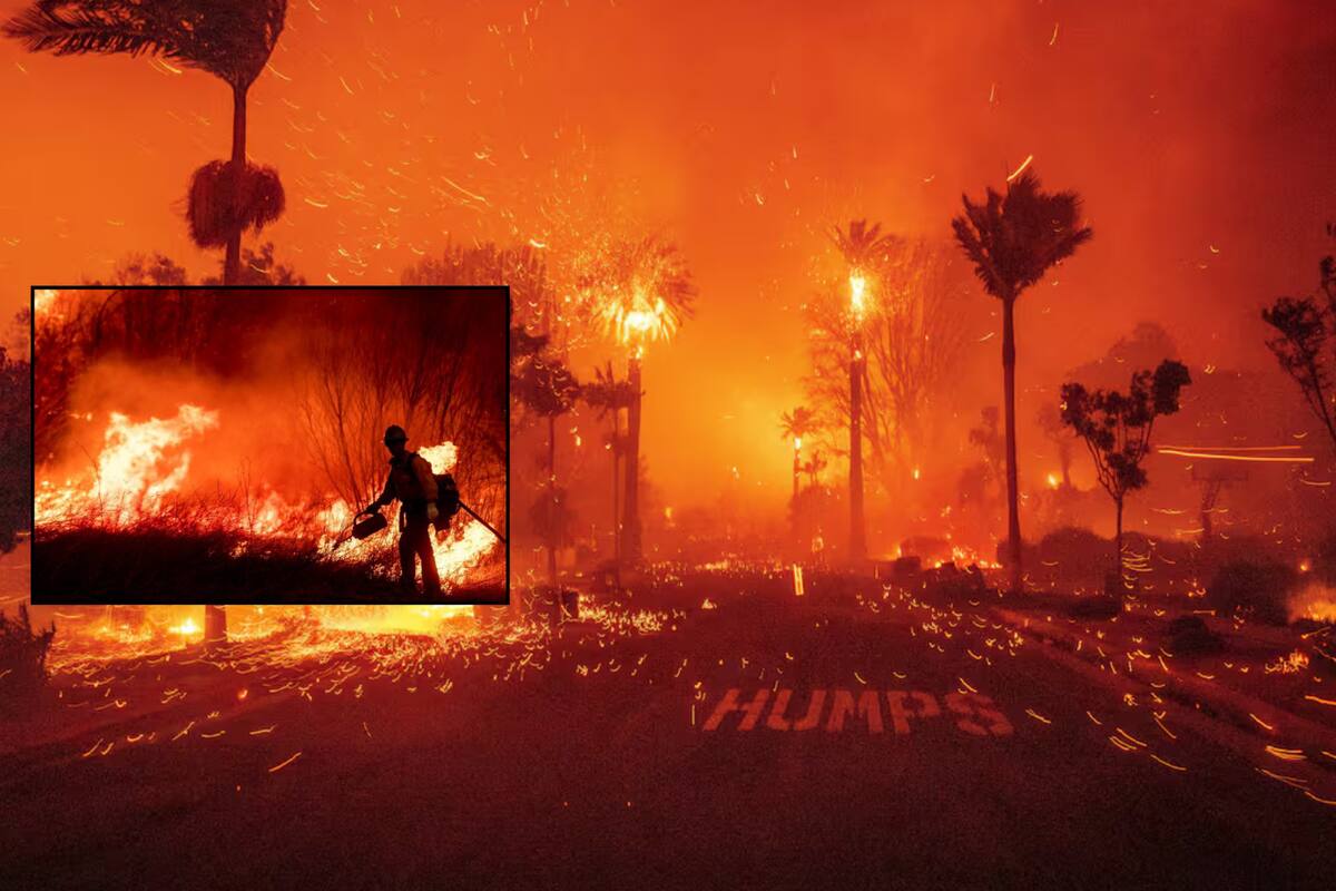 “Altadena ya no existe como tal”: Mexicana comparte su experiencia tras perder su hogar por incendios en California