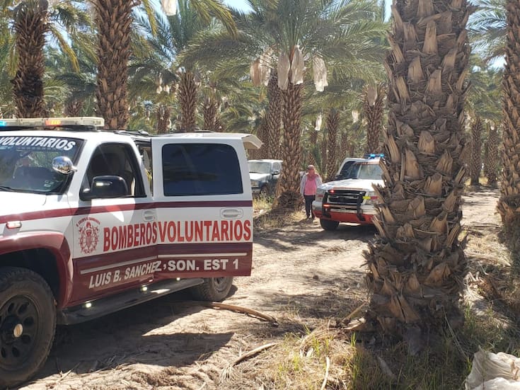 Cinco trabajadores caen desde cuatro metros en empaque de dátiles