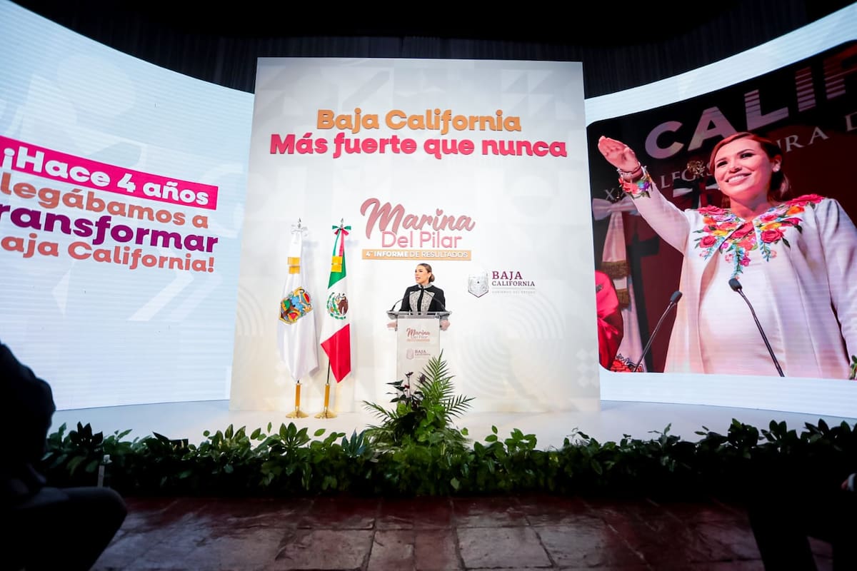 Hay 51 denuncias ante las fiscalías por un monto de 625 millones de pesos. Fotos: Cortesía