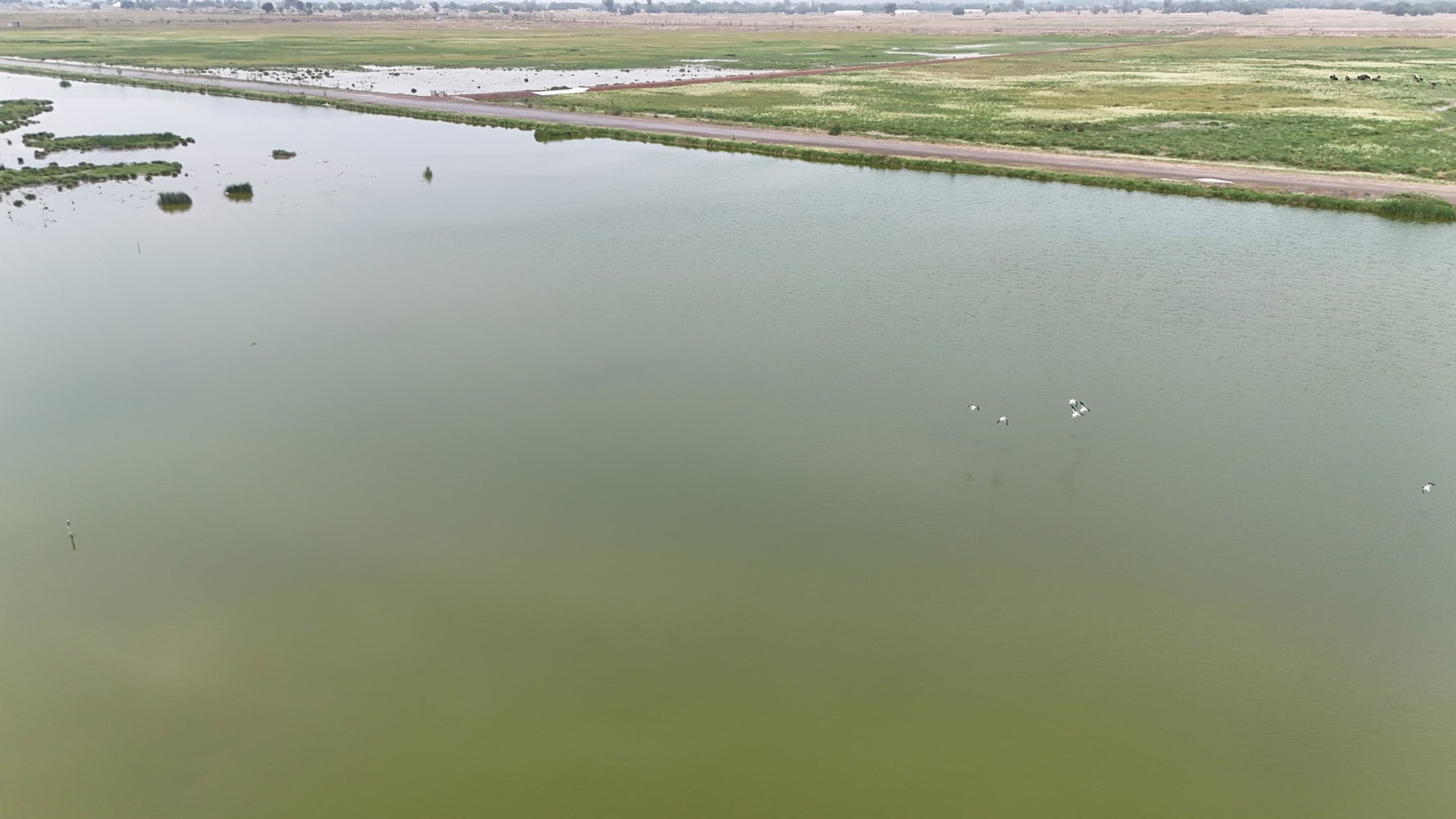 Inauguración del Parque Ecológico Lago de Texcoco.