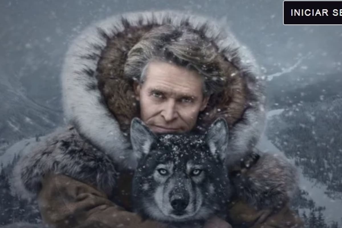 Cuatro películas sobre perros basadas en hechos reales y dónde verlas