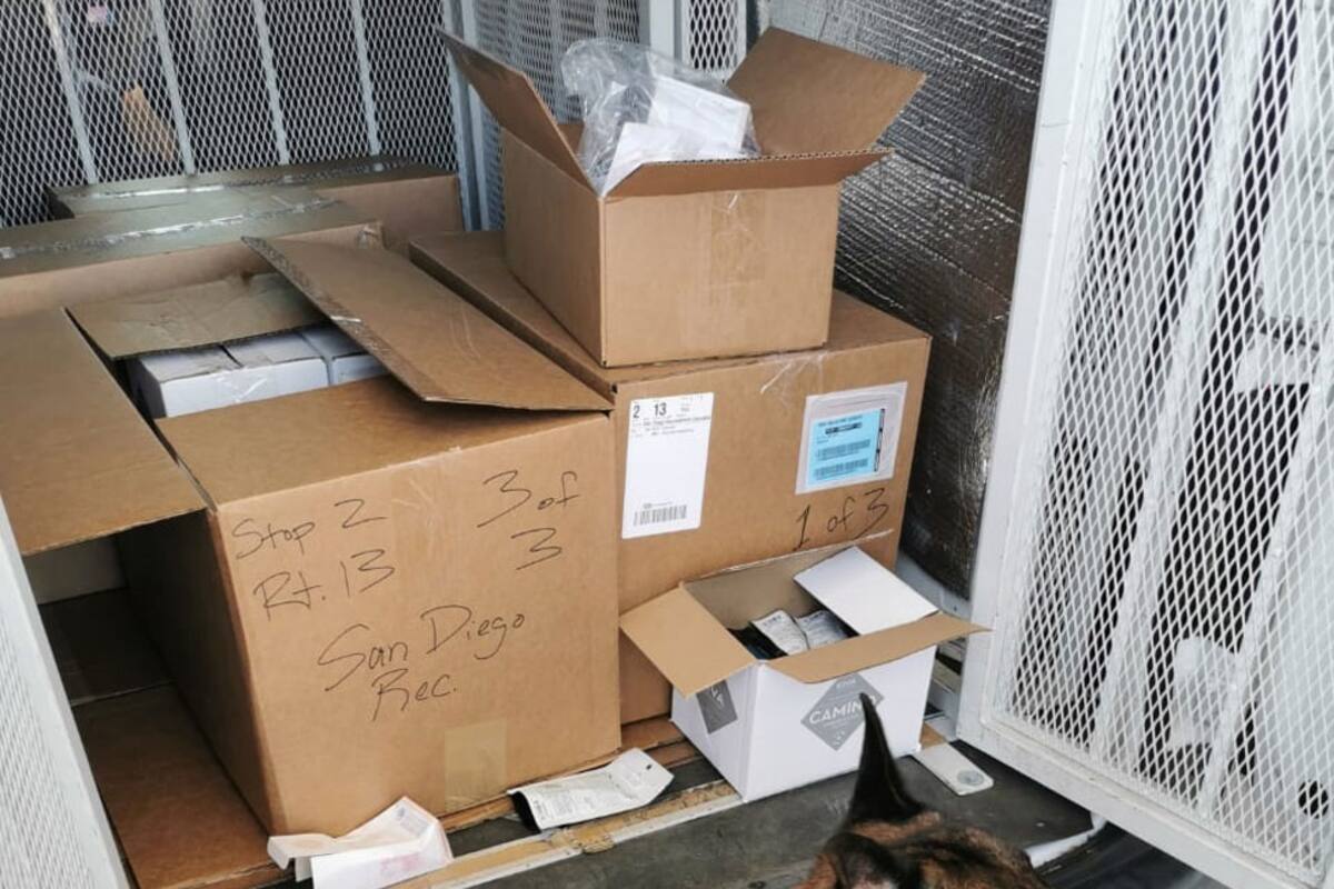 Decomisan en Otay Mesa productos derivados de la mariguana