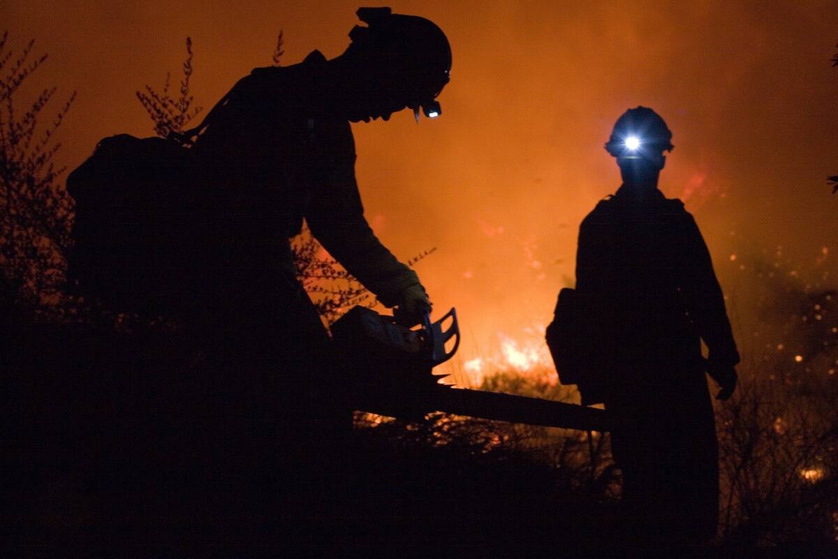 ¿Qué causa los incendios forestales y cómo prevenirlos? 3 medidas clave para el futuro