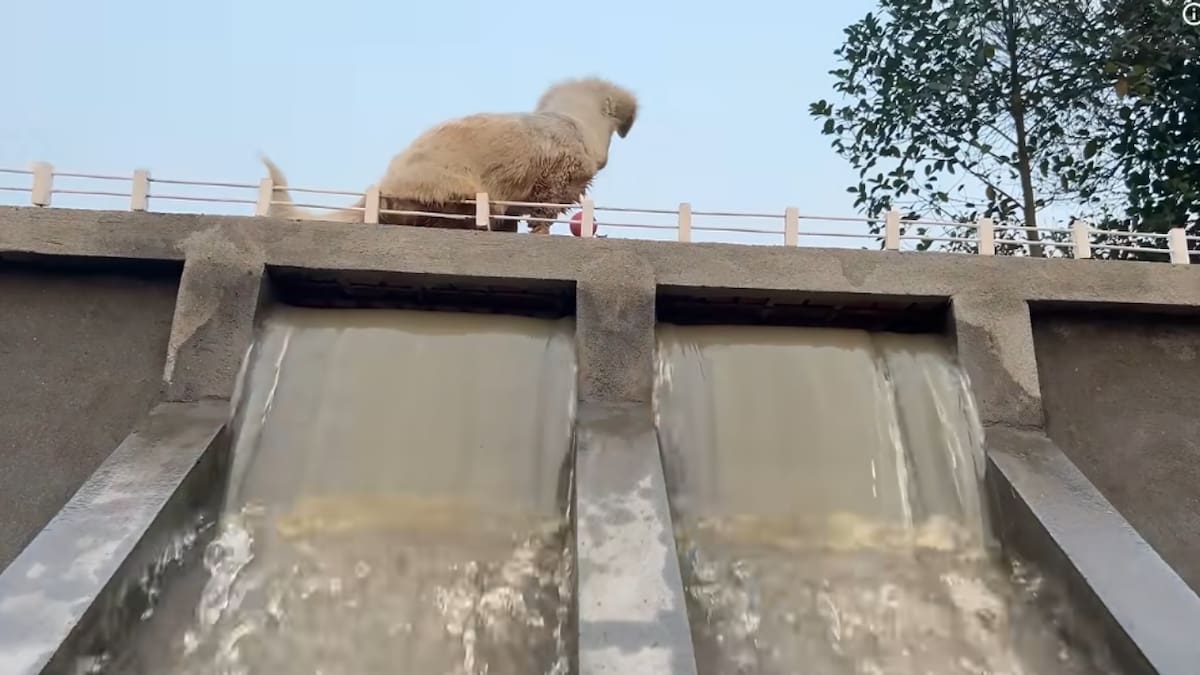Ladrillos, cemento, una turbina y un generador forman parte del proyecto con el que un joven en Vietnam aprovechó un río cercano para producir electricidad.