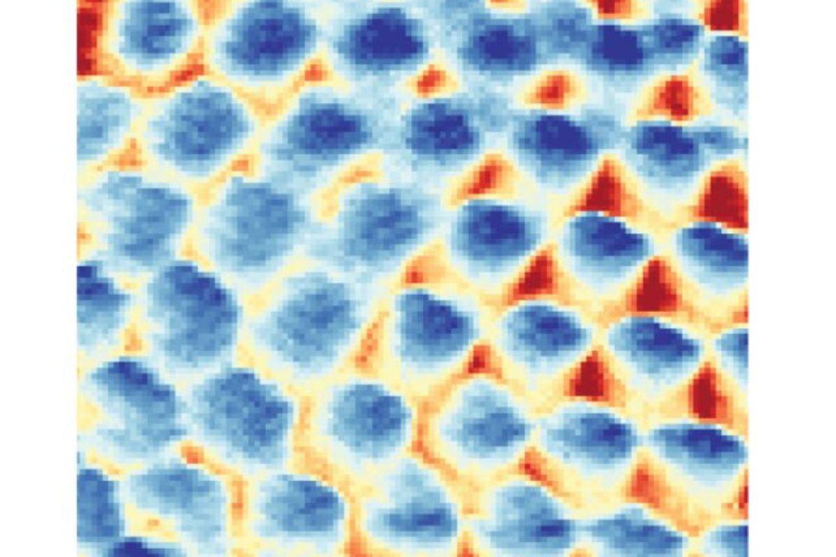 Físicos captan la primera imagen de un cristal de electrones