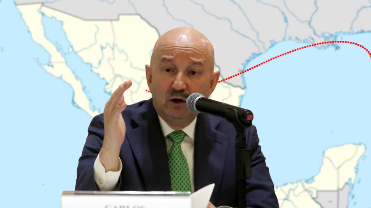 Carlos Salinas de Gortari se fue de México luego de su presidencia, ¿Qué pasó en esos años?