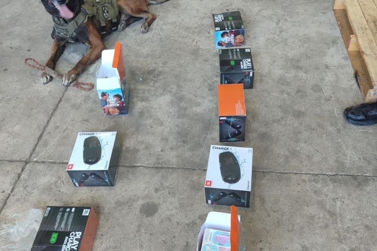 Agente K9 destapa envío sospechoso en Mexicali con vapeadores