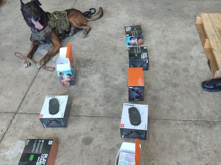 Agente K9 destapa envío sospechoso en Mexicali con vapeadores