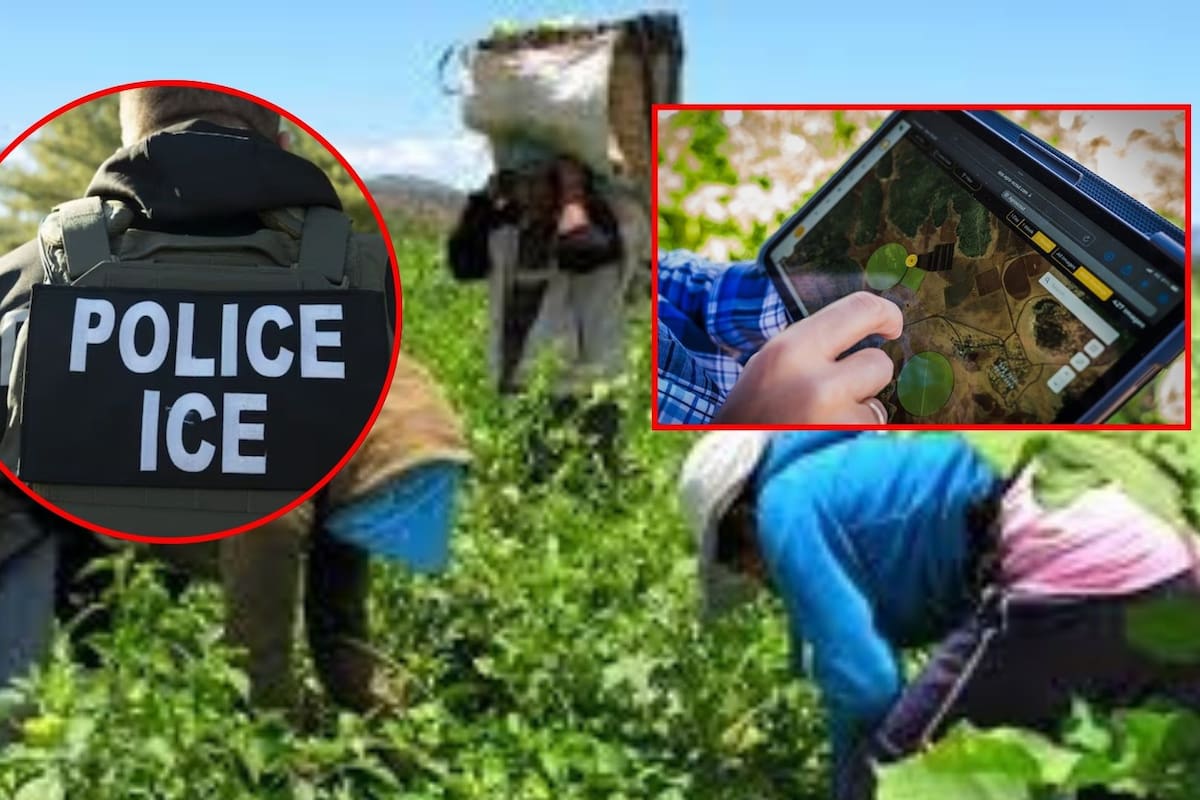 Donald Trump busca sustituir a trabajadores agricolas deportados con automatización del campo
