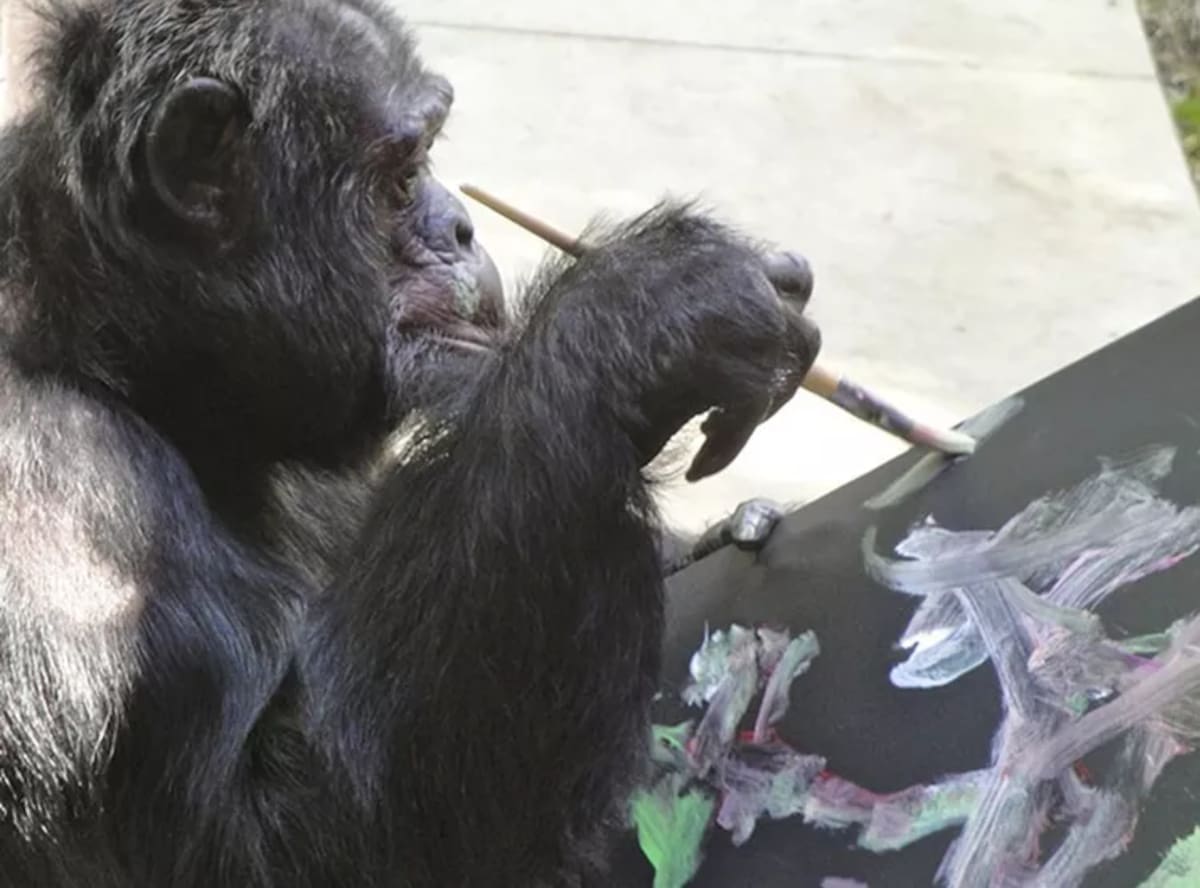 Aseguran que Bubbles ahora disfruta de la pintura.