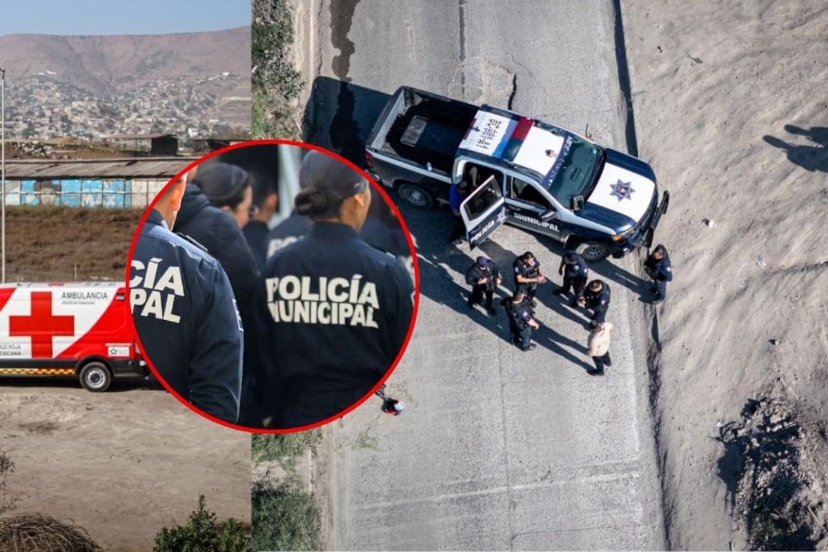 Asesinan a 336 policías en México durante 2025, uno por día y 8% más que el año pasado, alerta Causa en Común