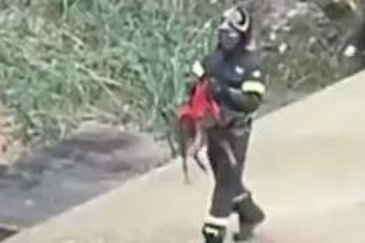 Bomberos salvan a un perro que estaba a punto de ahogarse
