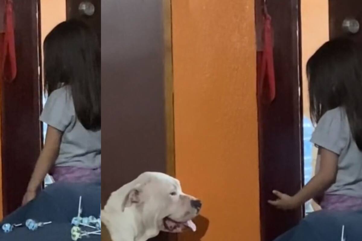 “Ni siquiera compartes nada”: Niña regaña a su cachorro por robarle su comida y se vuelve viral en internet