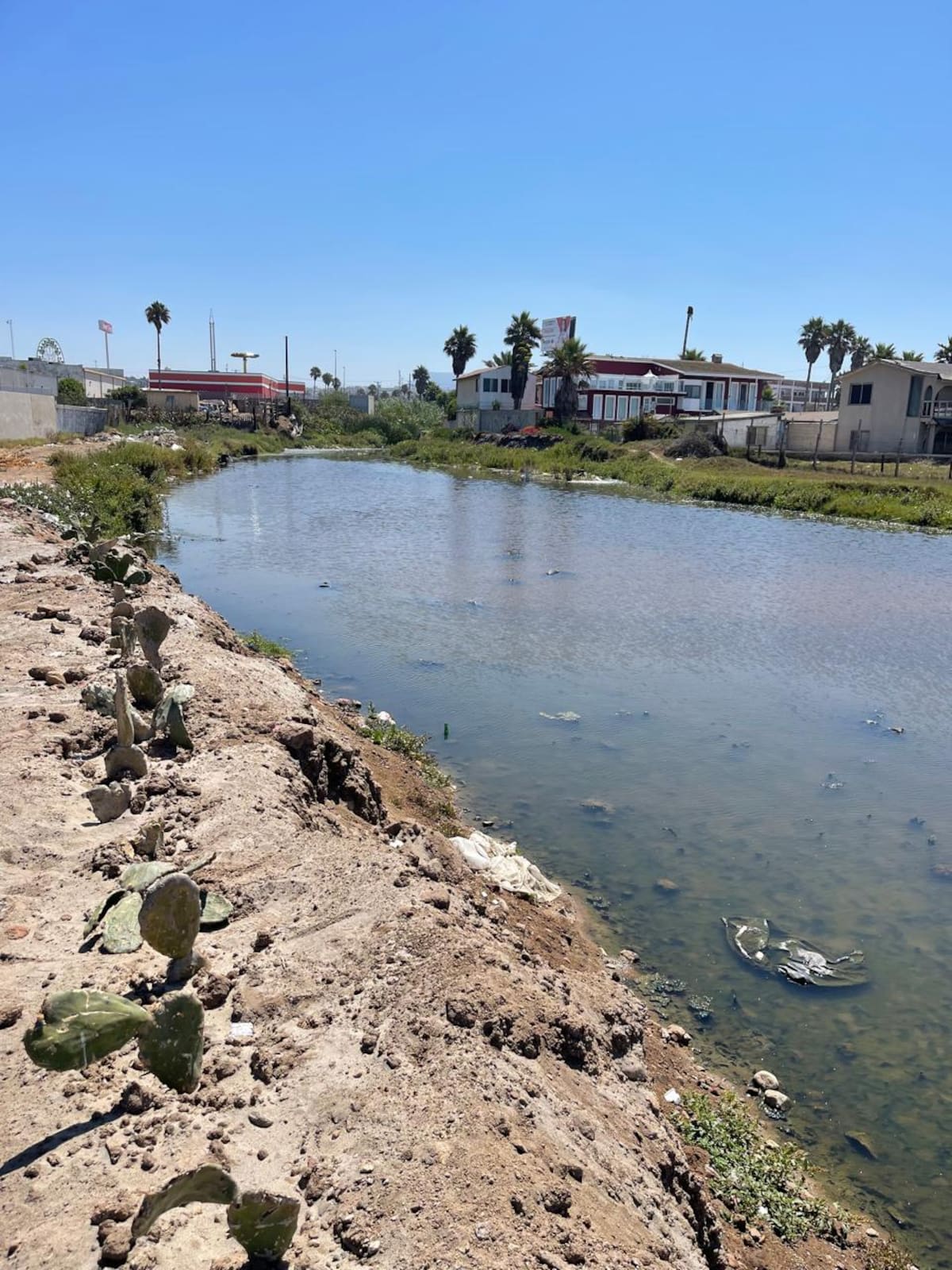 Foto: Carmen Gutiérrez