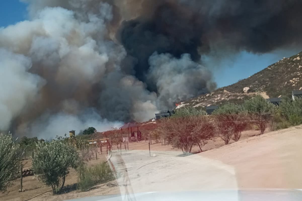 Bomberos combaten incendio forestal en Valle de Guadalupe